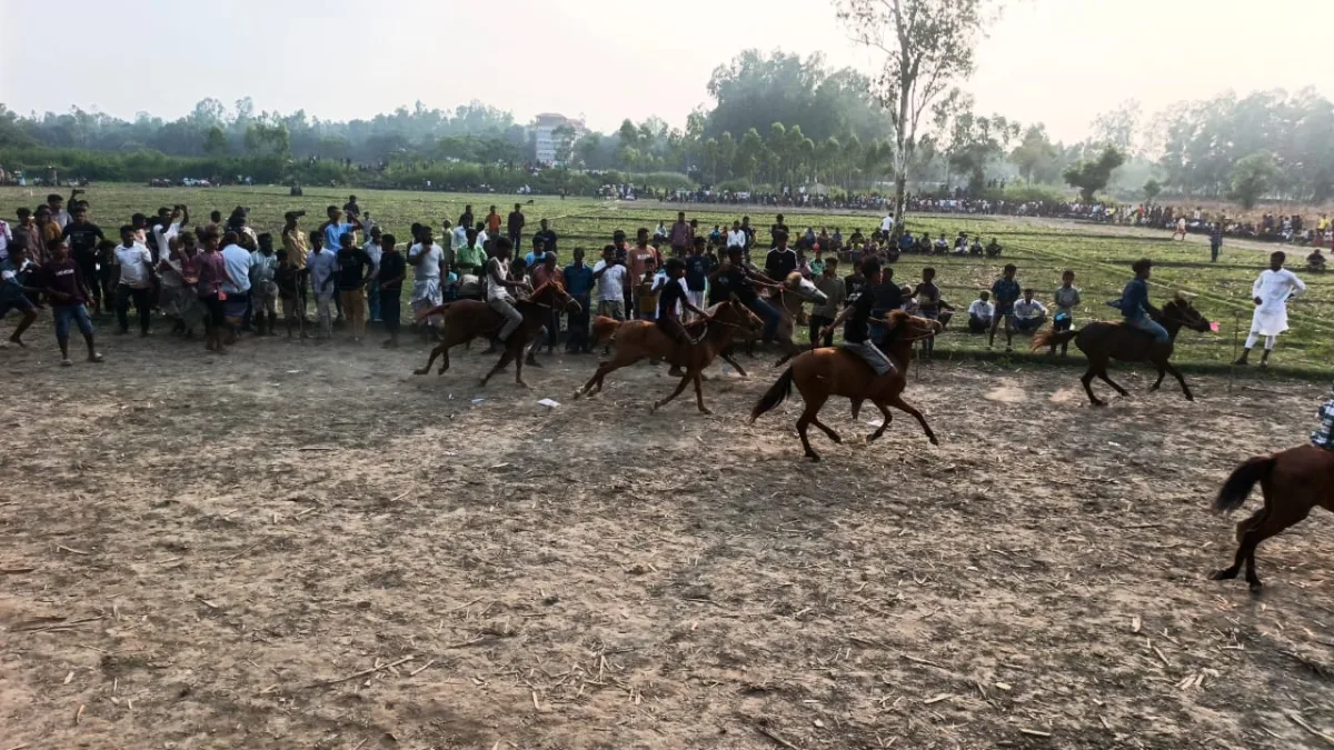 বীরগঞ্জে ঘোড়া দৌড় প্রতিযোগিতা