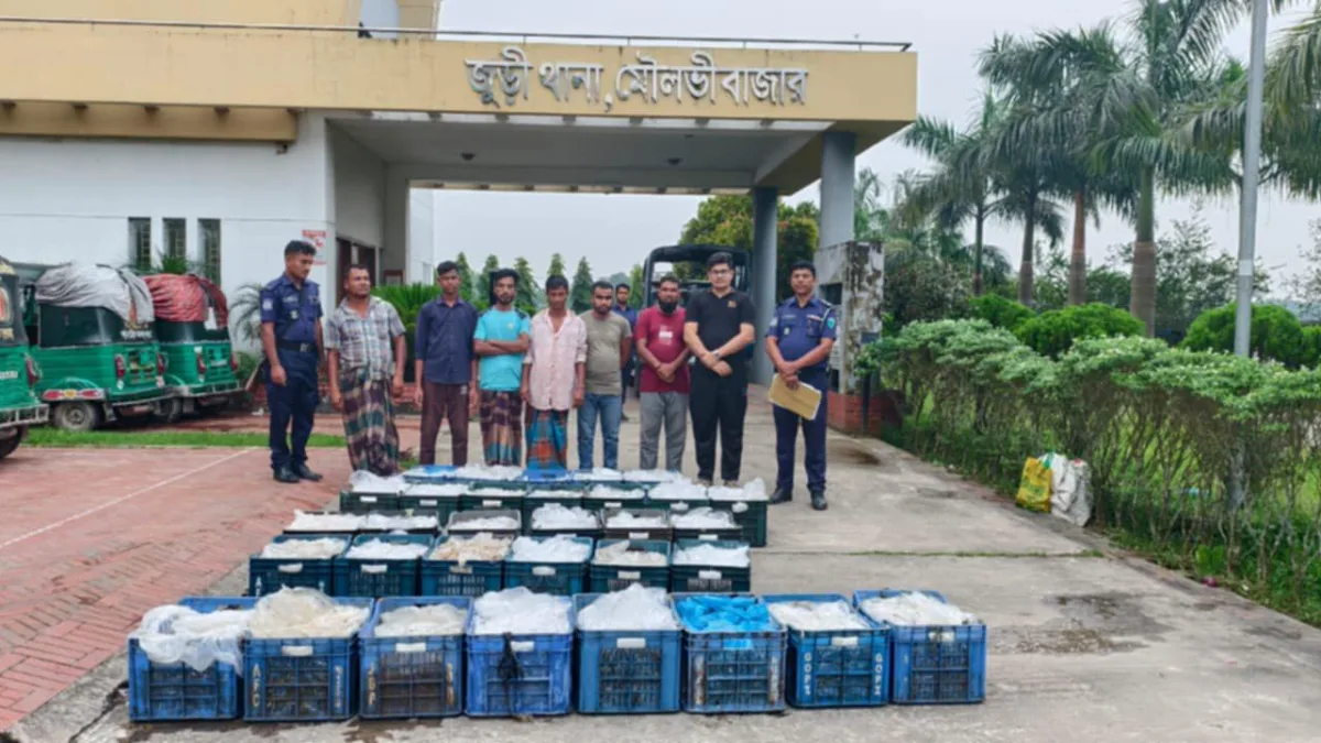 হাকালুকি হাওরে অভিযানে ৫৫০ কেজি পোনা মাছ জব্দ ও জরিমানা