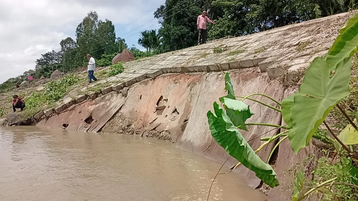 চিলমারীতে ফের ব্রহ্মপুত্রের ডানতীর রক্ষা বাঁধের ধস, আতঙ্ক উপজেলাবাসী