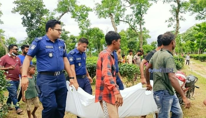 শ্রীমঙ্গলে গাছের সঙ্গে বাঁধা যুবকের মরদেহ উদ্ধার