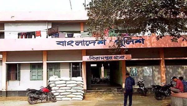 দিনাজপুরের  বিরামপুরে রাতের আঁধারে ৫০ মণ বোরো ধান কেটে নেওয়ার অভিযোগ,
