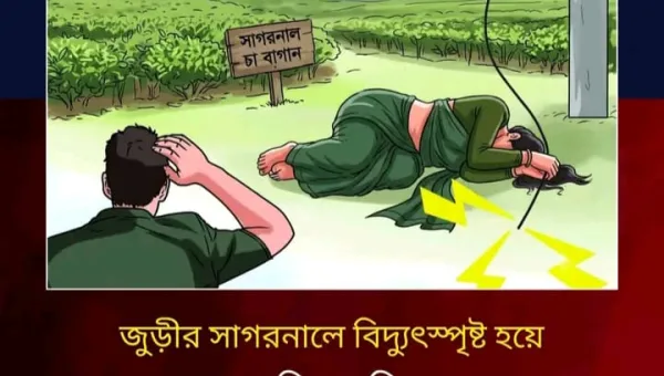 জুড়ীতে বিদ্যুৎস্পৃষ্ট ১ জনের   মৃত্যু