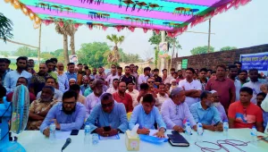 তেঁতুলিয়ায়  শিক্ষিকার কম্পিউটার সনদ জাল প্রমাণিত হওয়ায় তার বিরুদ্ধে শাস্তিমূলক ব্যবস্থা