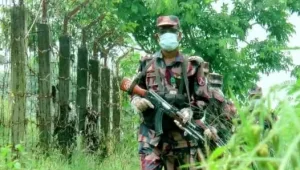 বড়লেখা সীমান্তে বিজিবির গুলিতে ১ ভারতীয় চোরাকারবারি আহত।