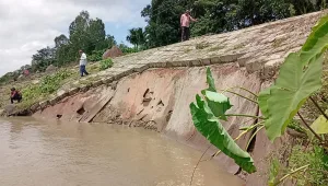চিলমারীতে ফের ব্রহ্মপুত্রের ডানতীর রক্ষা বাঁধের ধস, আতঙ্ক উপজেলাবাসী